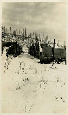 A side view of the Camp North Fork. Back of photograph reads, "Side camp - First Mt. Snow in Idaho Sept."