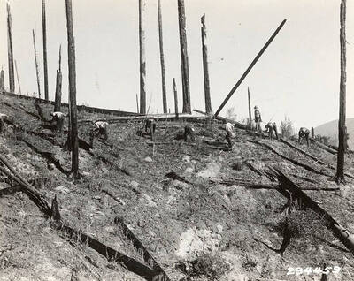 Group photo of a CCC replanting crew being overseen by an officer. Burned logs and dead snags dominate the landscape. Photo taken on the slopes above the Coeur d'Alene River, burned by the McPherson fire of 1931. Photo taken in October of 1934.