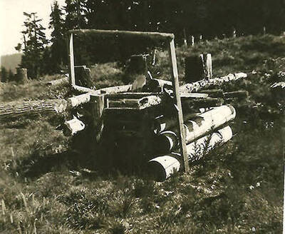 A pile of logs set up in a semi-orderly fashion in a field full of stumps, a forest lines the field in the background. Back of the photo reads: 'Bottom picture shows a 'bear trap'. We took them a long way off and released them hoping they would leave our 'garbage dump' alone.'