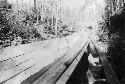 A logging flume curves through the forest.