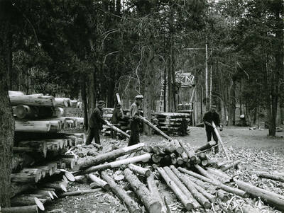 Making Fence Posts and Telephone Poles