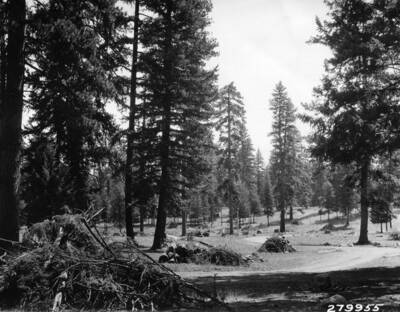 Material piled and ready to burn. Cleanup by boys from State CCC Camp at McCall