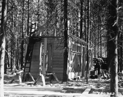 Two CCC men working on the construction of a cabin in the middle of the woods. Two sawhorses are being used as supports.
