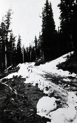Photo of a road with a melting layer of snow.