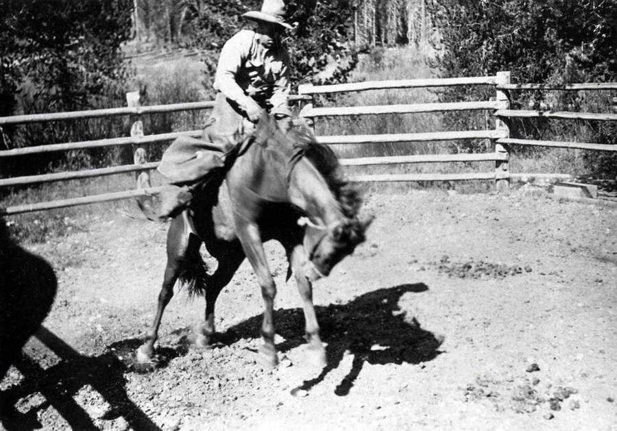 Pick Ward rodeoing. Dixie, Idaho.