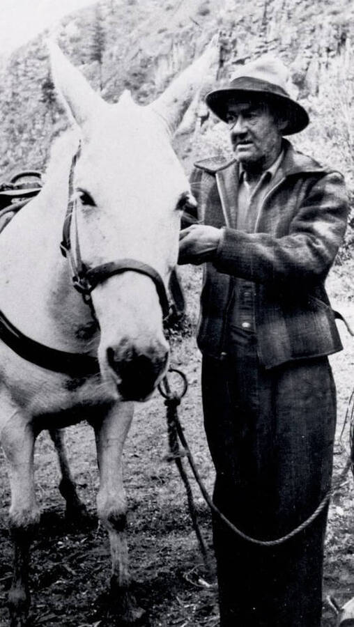 Jim Rice and his mule Joe Gray. Near Dixie, Idaho.