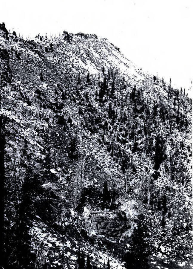 Spring is at base of large rock outcropping, lower center. Cabin is just visible at top of picture
