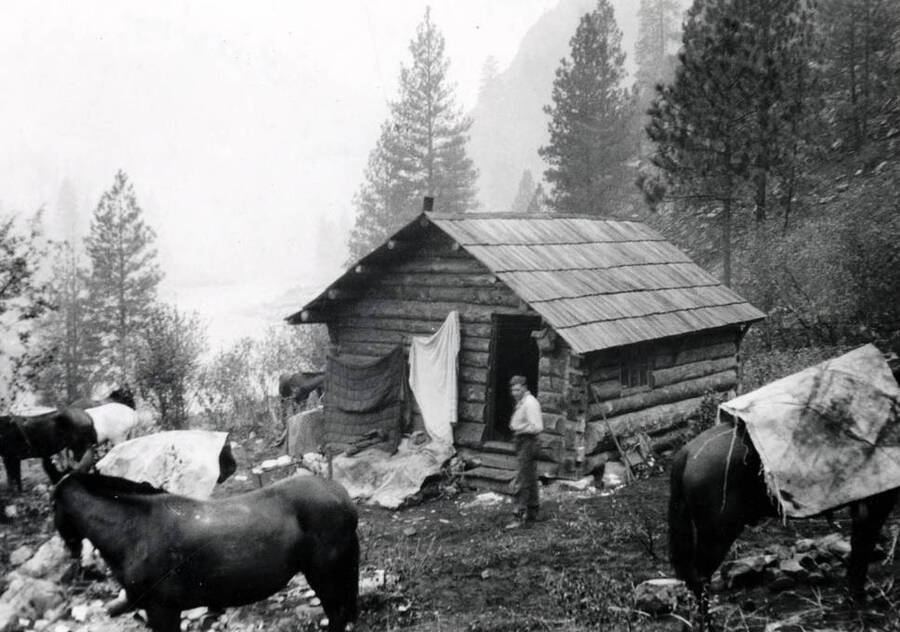 Clarence Saunders? In front of cabin, mules near cabin