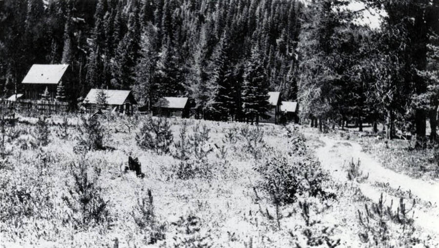 View of several buildings nestled in the forest. Orogrande, Idaho.
