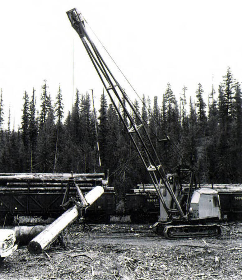 Mobile crane loading logs on railcar. Camp 61.
