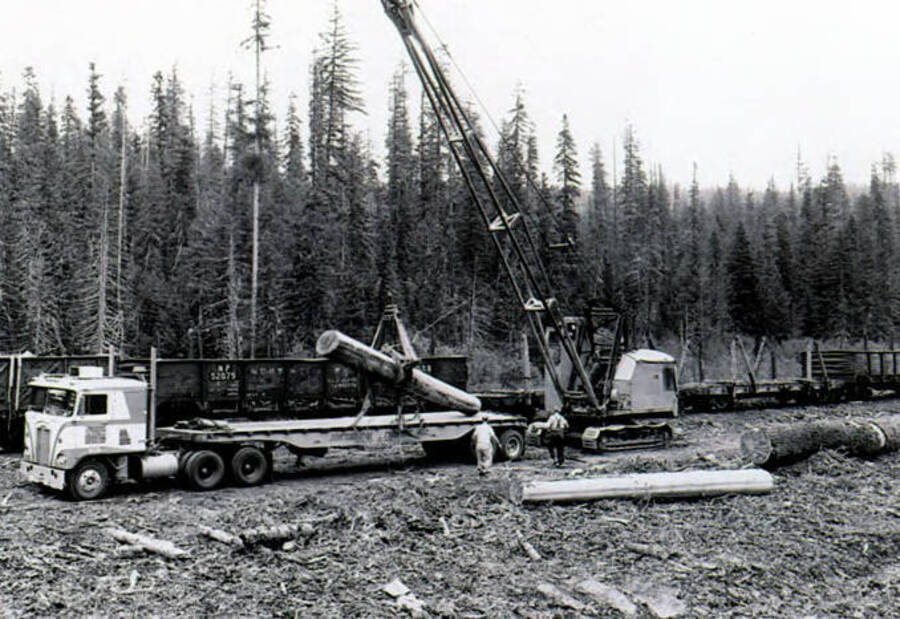 Mobile crane loading logs on railcar from flatbed trailer. Camp 61.