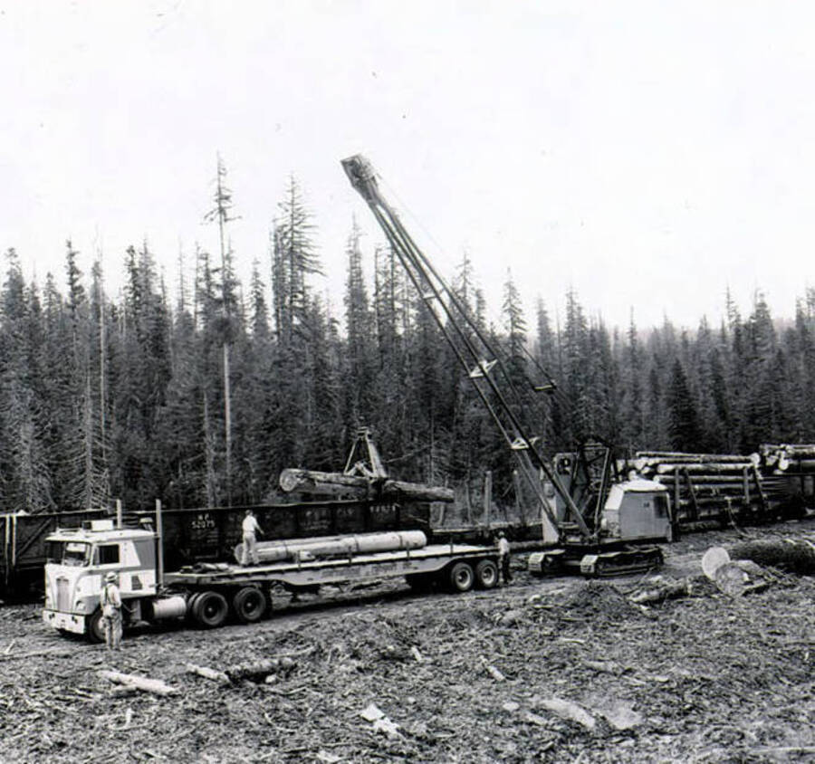 Mobile crane loading logs on railcar from flatbed trailer. Camp 61.