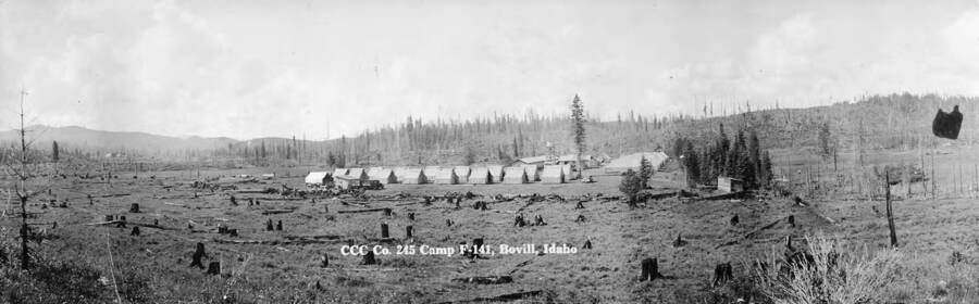 The Civilian Conservation Corp CO.245, CAMP F141, surrounded by tree stumps.