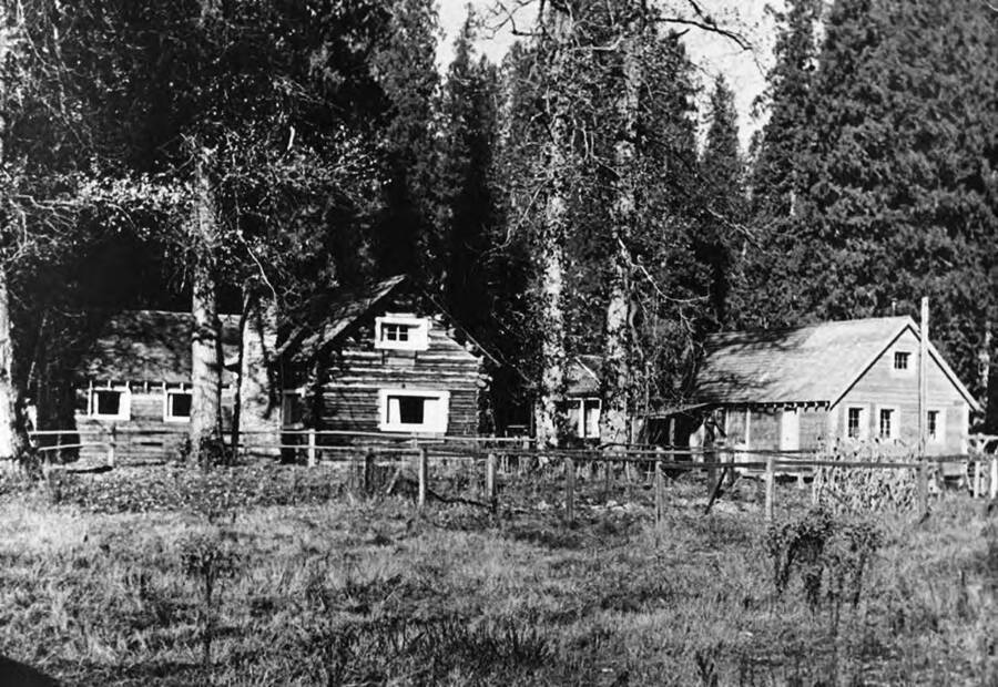 Three cabins, including Boehl's Cabin, located on Breakfast Creek in a forest.