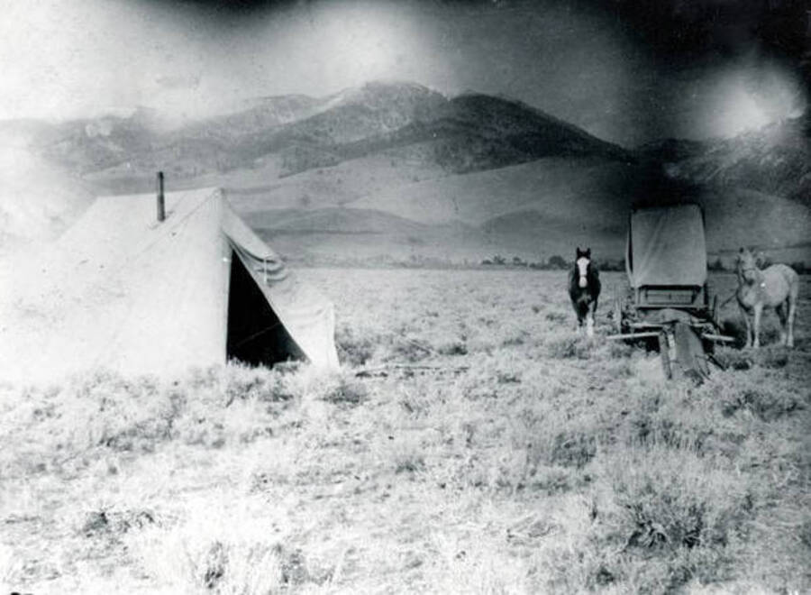 Sheepherders' Camp? Challis, Idaho.