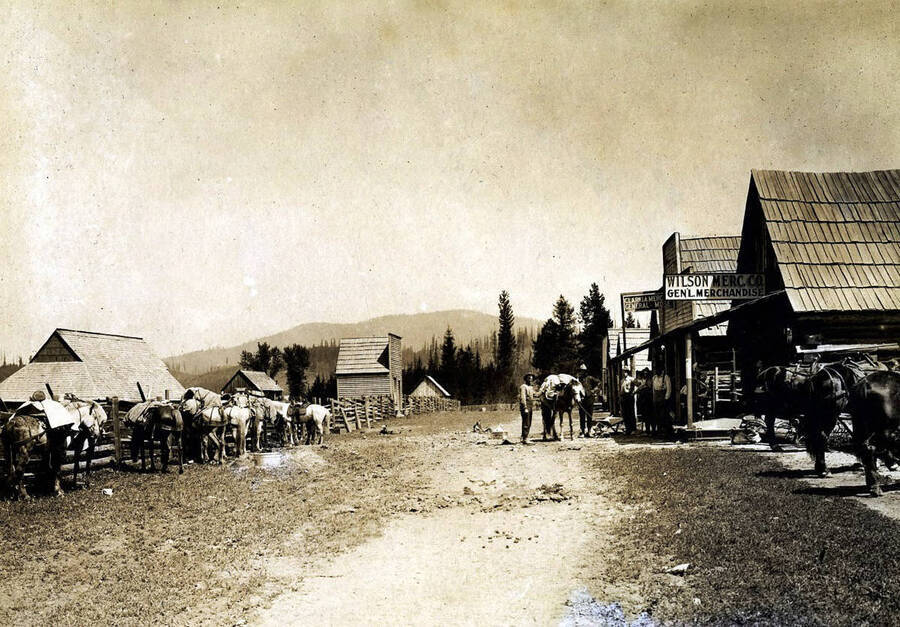 Street scene. Wilson Mercantile Co. and Clarkia Mercantile. Clarkia, Idaho.