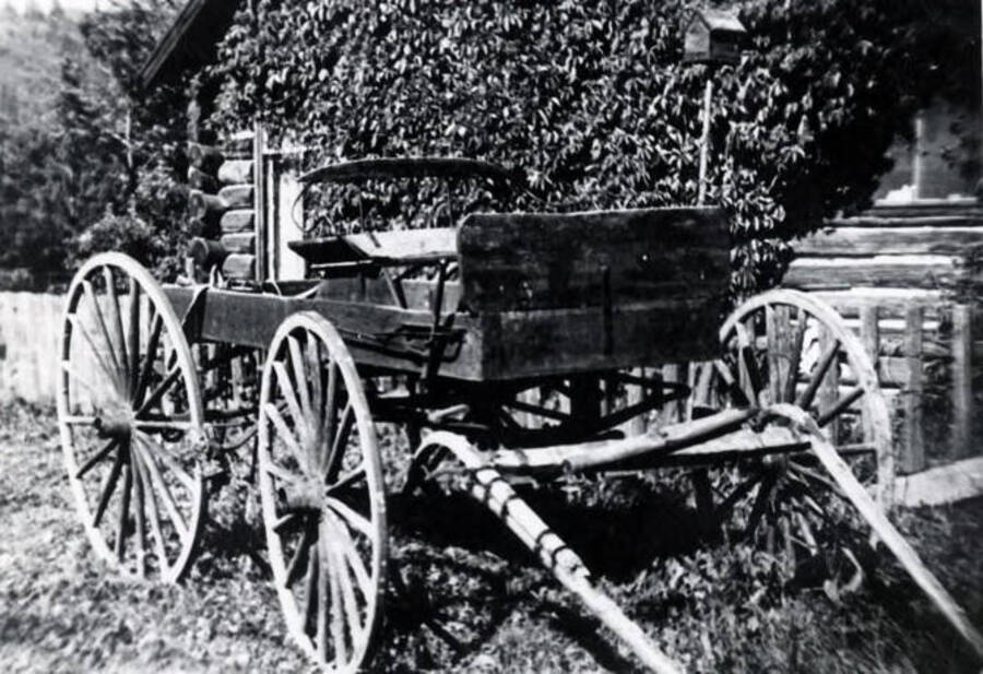 Buggy used by Millers for many years to get from their home to town
