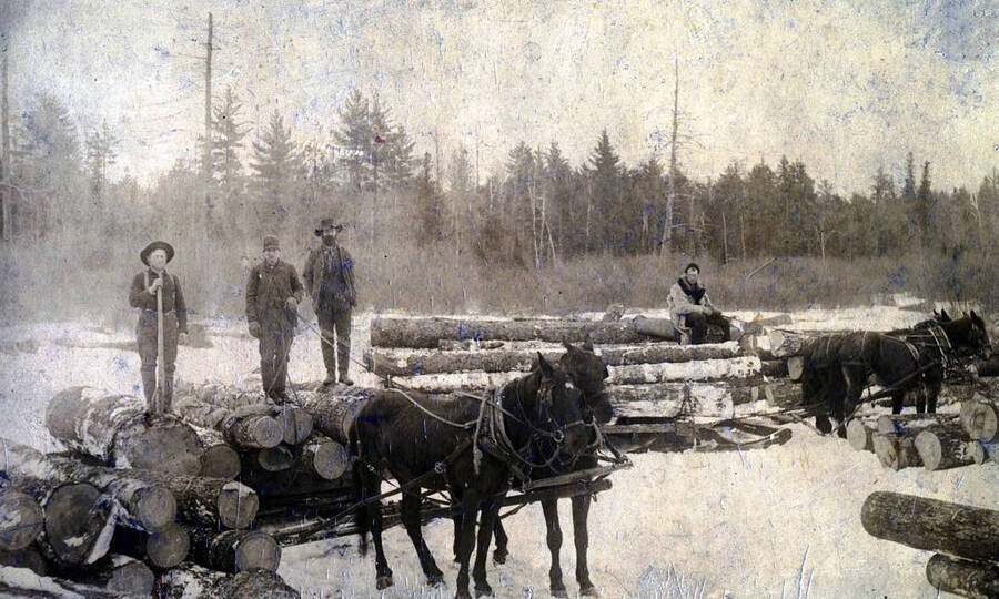 Horses moving logs by sled. Above Elk River, Idaho on tributary of Clearwater.