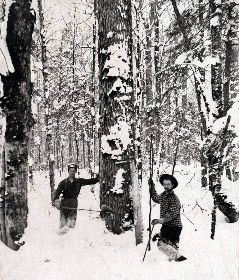 Cutting timber in about ten feet of snow. Near Hunicker Logging Camp above Elk River, Idaho.