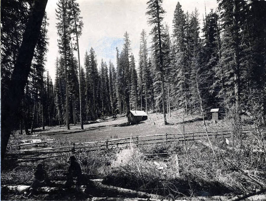 Clearing and cottage of timber claim. Basin about 12 miles northeast of Elk River, Idaho.