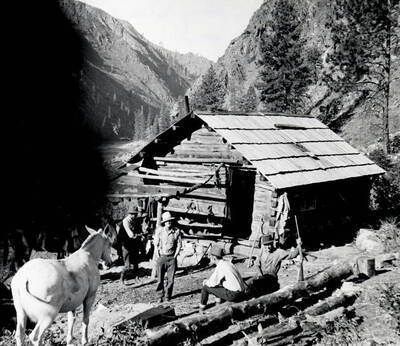 Del Flores tying up horse, Jim Rice (center), John Storey (white shirt), Walt Rice (with gun) and mule (Joe Gray)