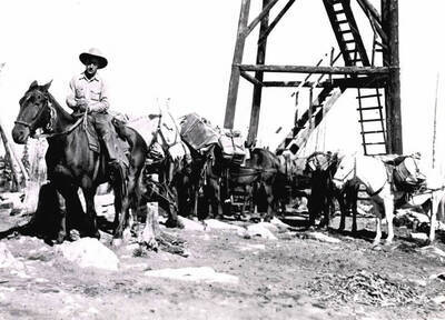 Pick Ward and pack string on Columbia Ridge.