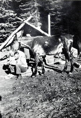 Pete Klinkhammer? and mule.