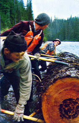 Source: Potlatch Corporation