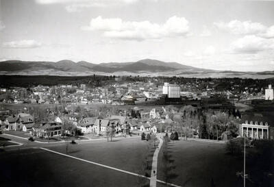 Hello Walk in foreground