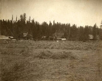 Meadow near west end of Pine Street with houses in the distance.