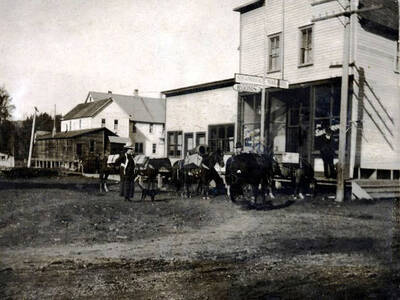 Pack train carrying cargo and diesel fuel for mines