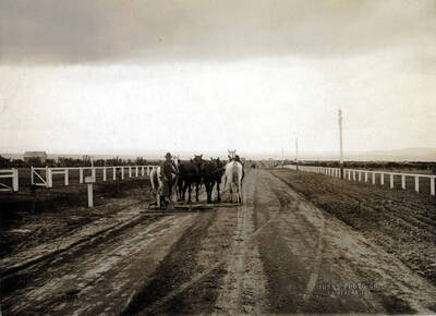 From files of C.J. Brosnan