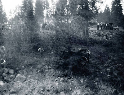 Approximate location if Troy (Duthe Park)