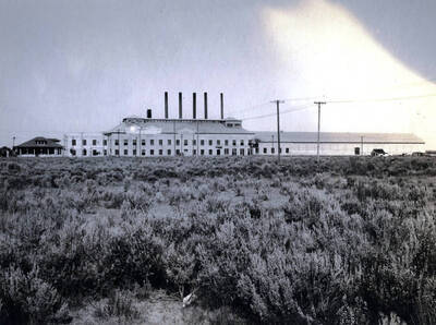 From the files of C.J. Brosnan