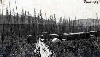 Schmidt Brothers Lumber Co. lumber yard and flume. Eileen, Idaho.