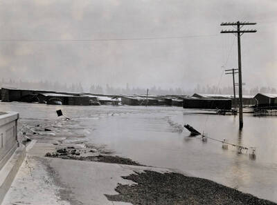 View of flood on side hill northwest of Blackwell Mill. Coeur d'Alene, Idaho.