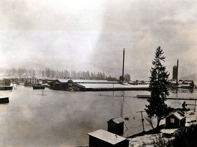 View of flood on side hill northwest of Blackwell Mill. Coeur d'Alene, Idaho.
