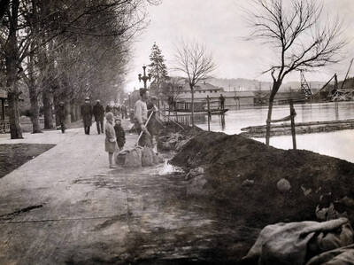 View of flood from lake front at City Park looking east. Coeur d'Alene, Idaho.