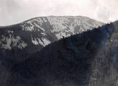 Coeur d'Alene Mountains.