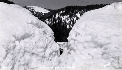 Snow scene near Burke, Idaho.