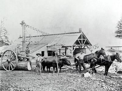 Erickson's Mill. Reubens, Idaho.