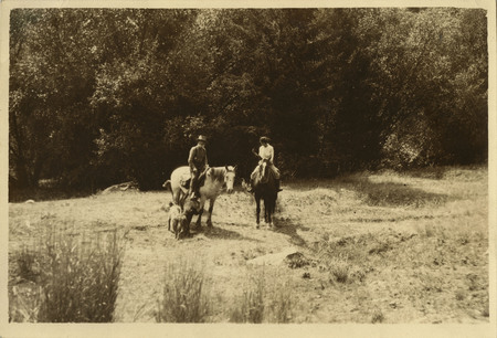 David Lewis and Thelma Page on their respective horses, are pictured in the distance. Three dogs surround Lewis' horse.