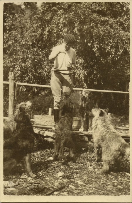 A front view of Thelma Page standing on top a log and feeding several dogs.