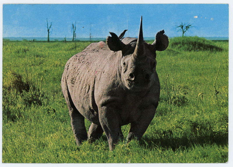 Postcard letting Crabtree know Toth is in Kenya. Toth makes plans for visiting Crabtree abroad.