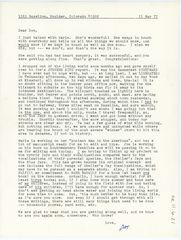 Letter discussing Welch's work on Joe Jurgen's site report and his trouble driving in a snowstorm. He shares what coworkers are working on and that he his working on a project with jays and writing a book on racoons.