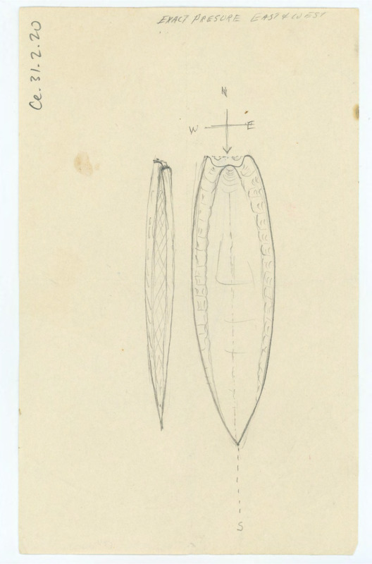 Drawing of a lithic artifact, with "Exact Pressure East & West" written at the top.