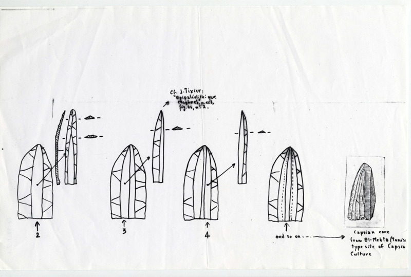 Drawn sequence of a using a prepared biface to create a Capsian core, example is from El - Mekla, Tunisia.