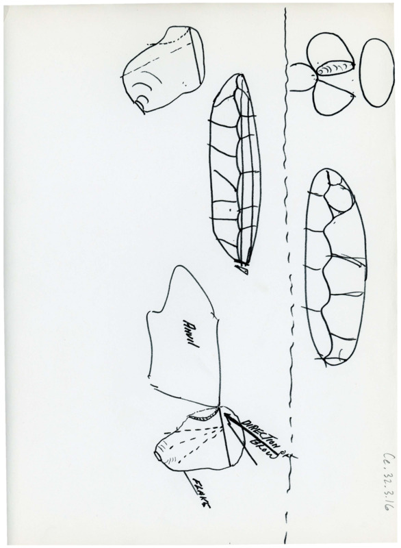 Hand drawn sketch that demonstrates using an anvil for flintknapping. There are also sketches of anvils.