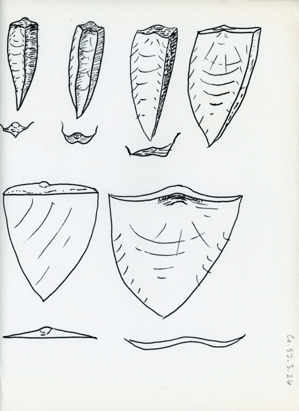 Hand drawn sketches of various flakes with different levels of details.