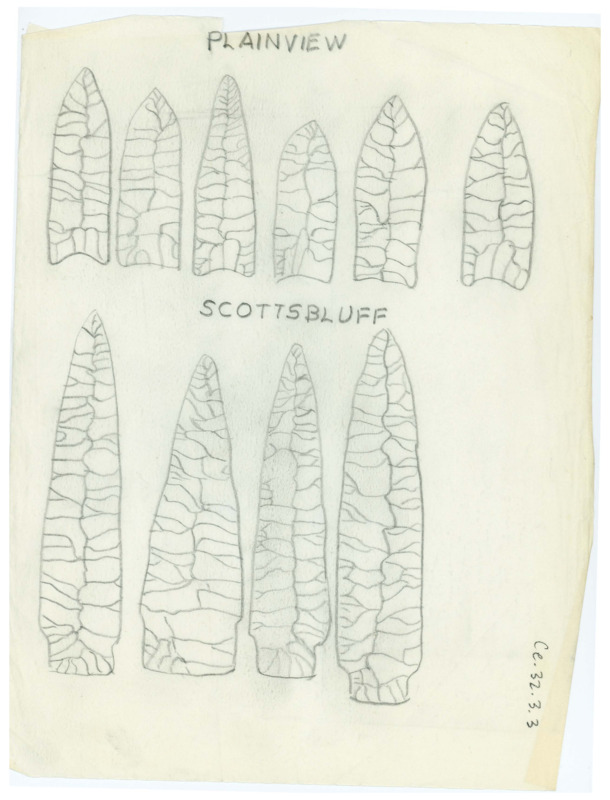 Hand drawn sketches of artifacts in two rows, one labeled as "Plainview" and the other labeled as "Scottsbluff."